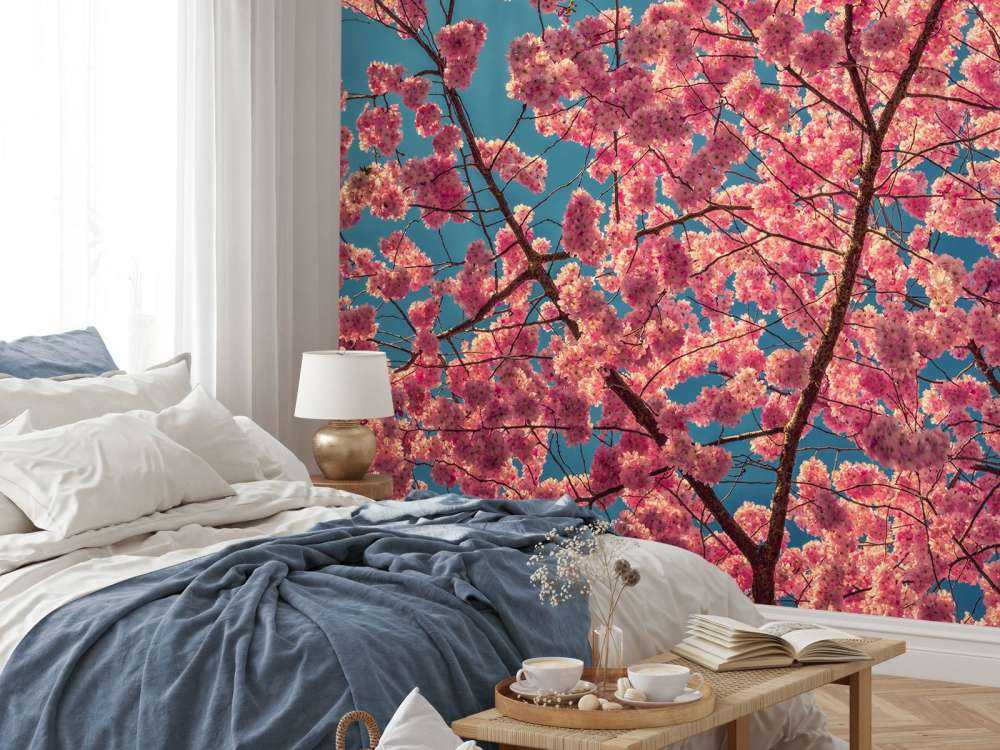 Jasnoróżowe kwiaty