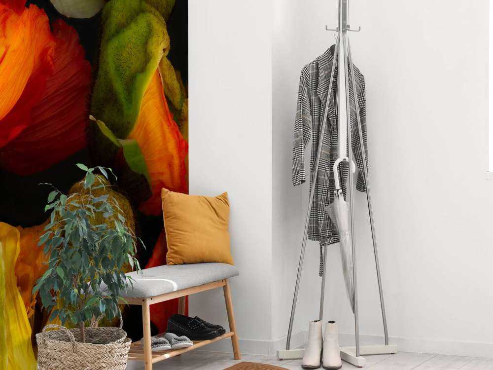 Rozwijające się maki