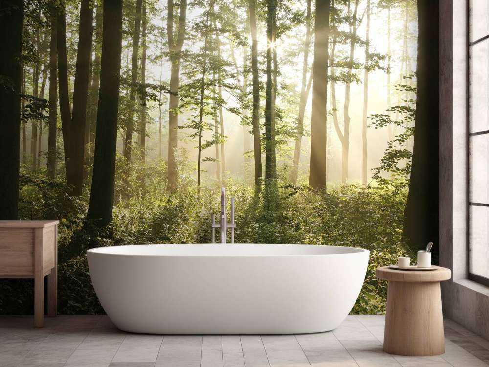 Mglisty las liściasty