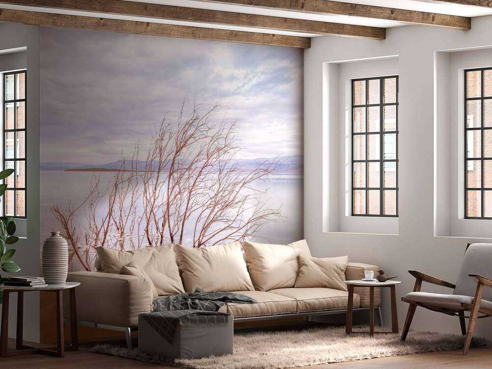 Gałęzie w Morzu Martwym