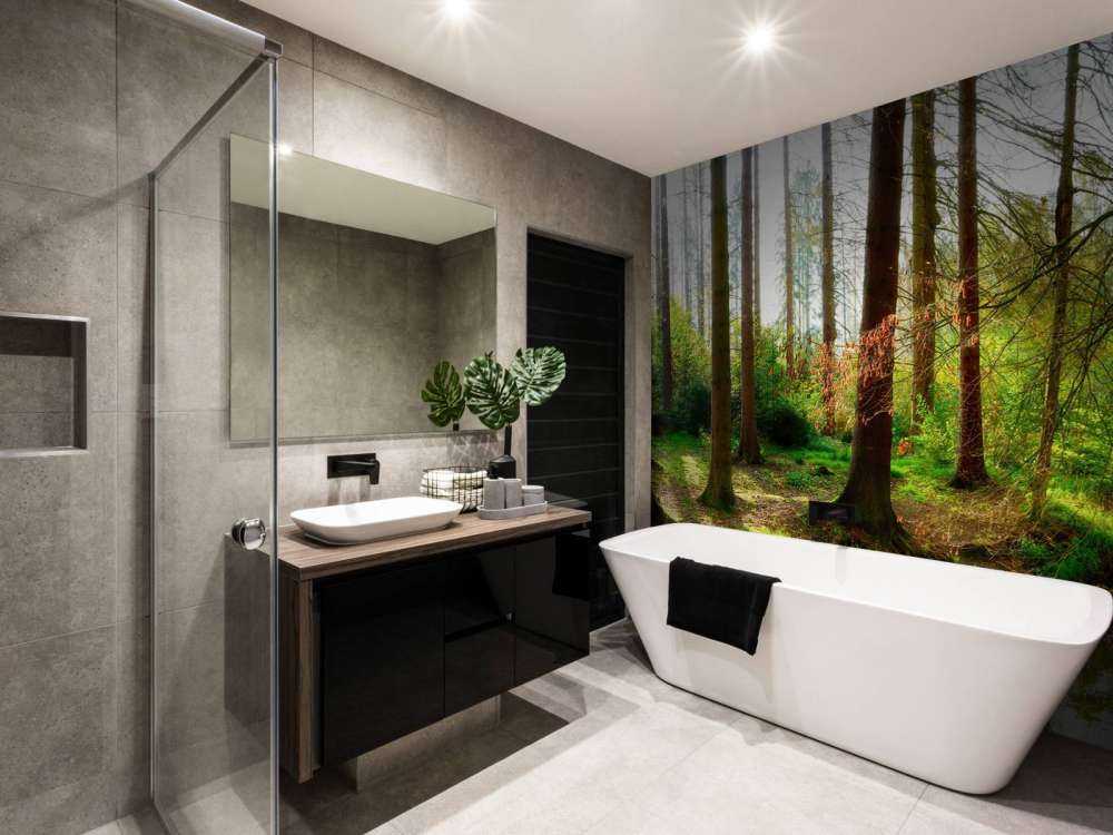 Jesienny las z jasnym światłem słonecznym