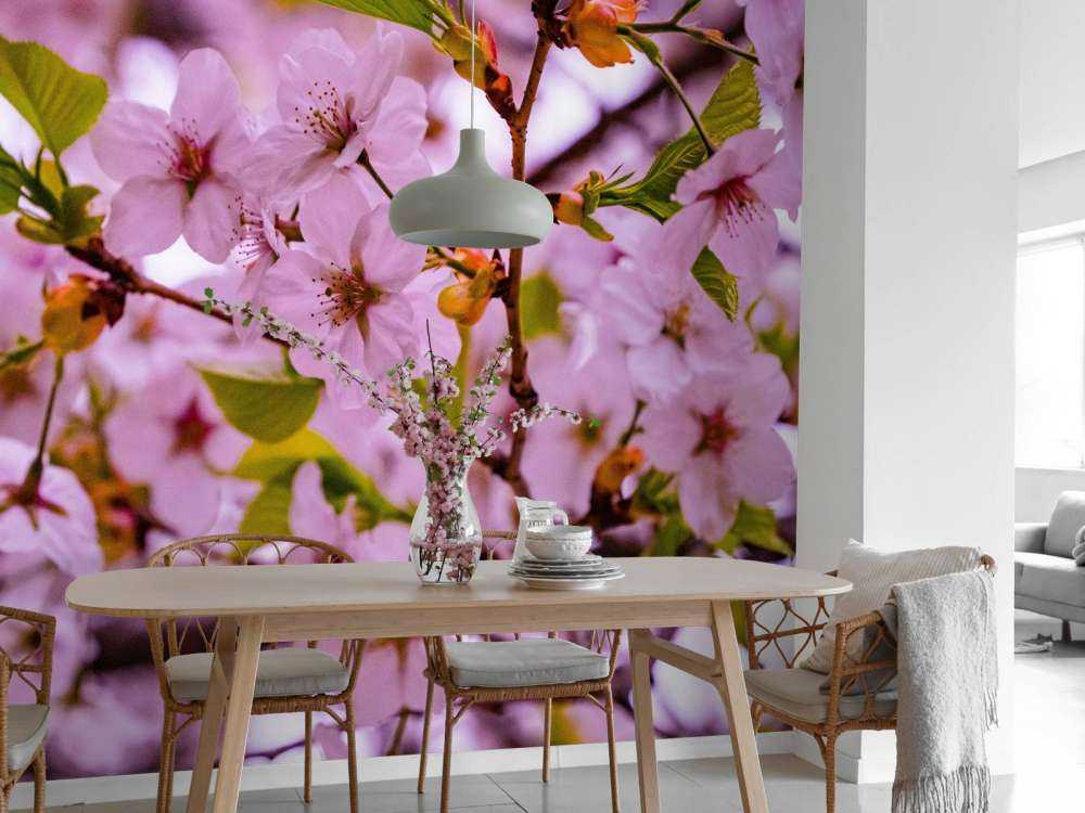 Różowe kwiaty z płatkami