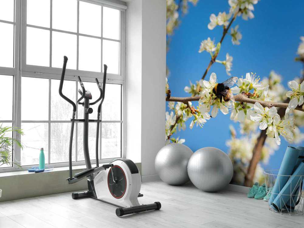 Trzmiel z białymi kwiatami