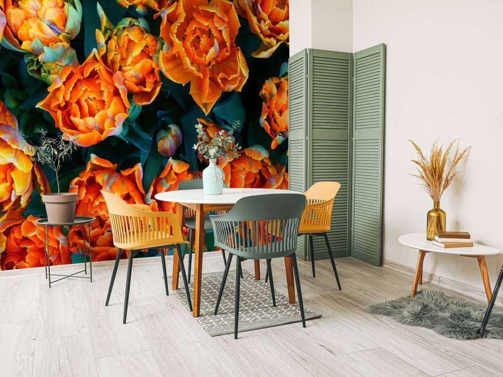 Zbliżenie na pomarańczowe tulipany