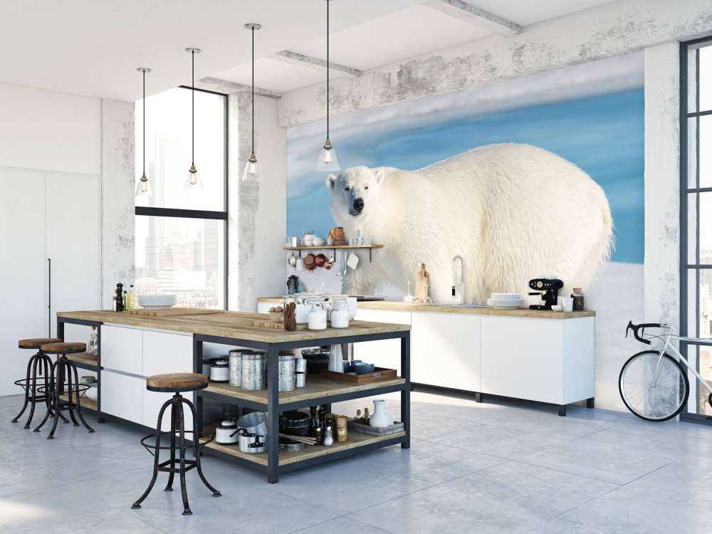 Niedźwiedź polarny