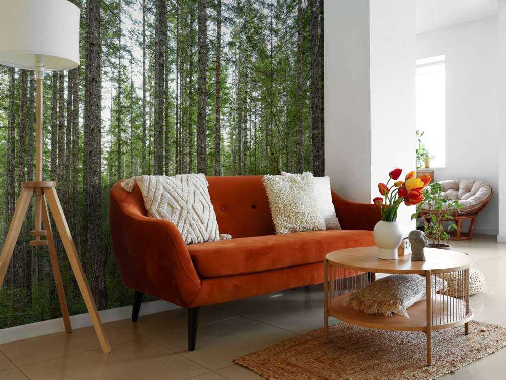 Drzewa wysoko wyprostowane