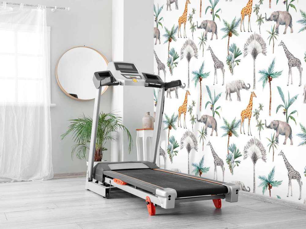 Zwierzęta z dżungli