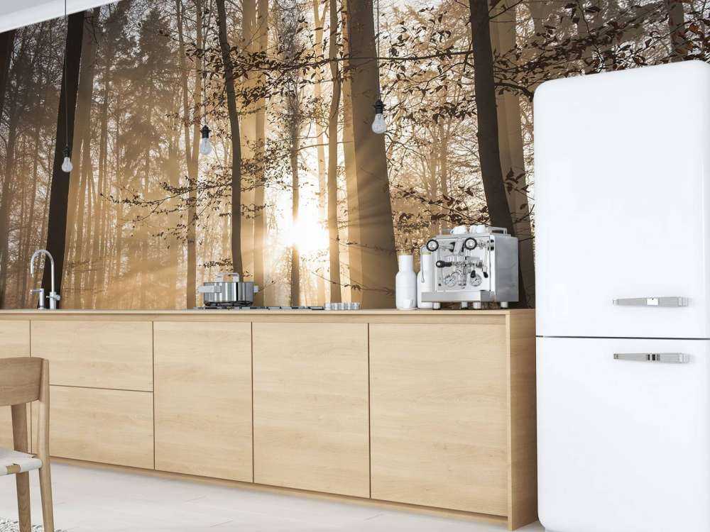 Słońce w mglistym lesie