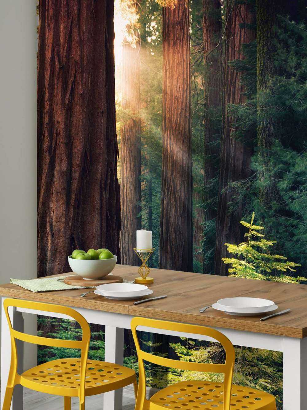 Światło słoneczne między drzewami mahoniowymi