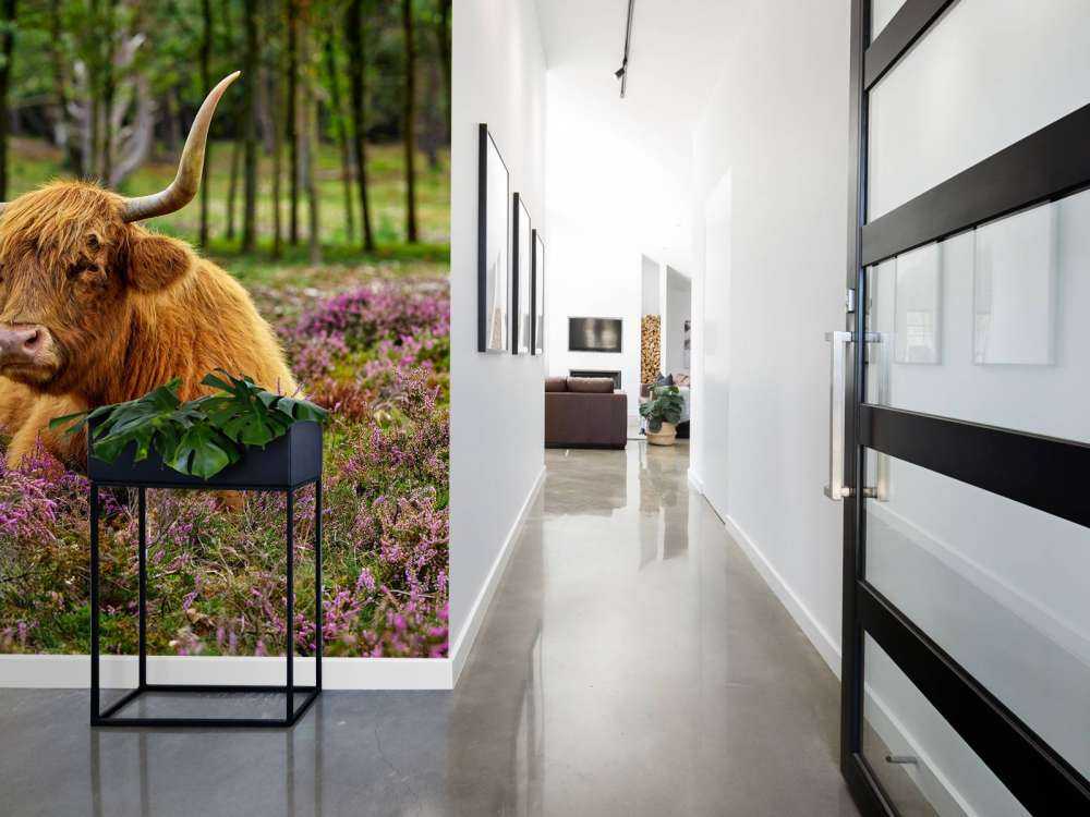 Szkocka rasa wyżynna między purpurowymi wrzosami