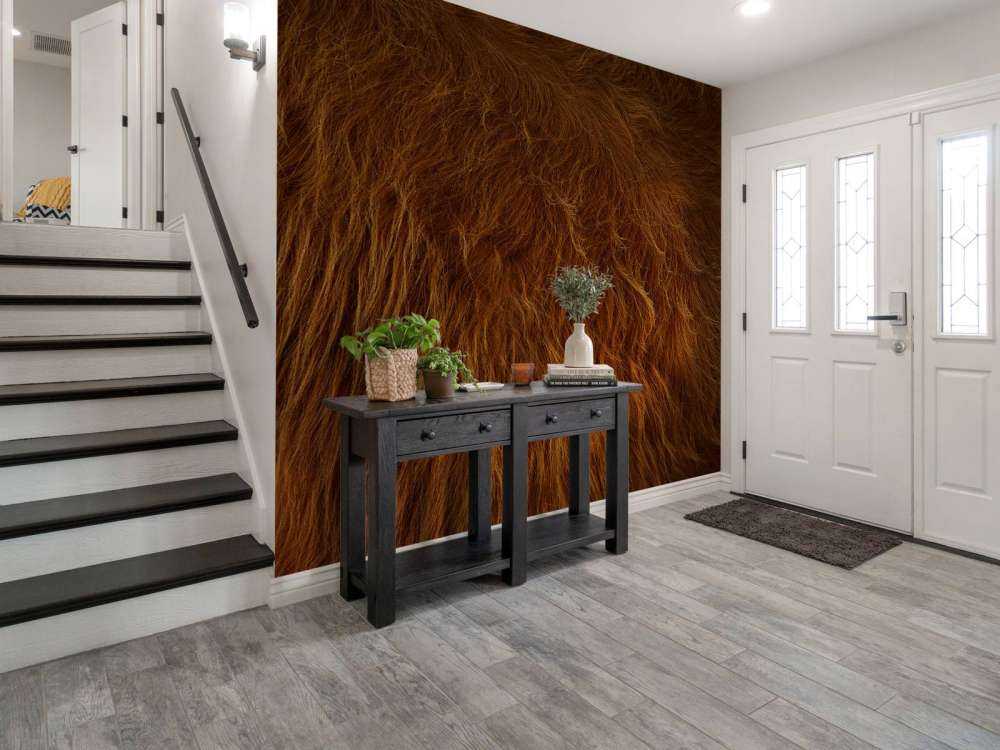 Sierść szkockiego wyżynna