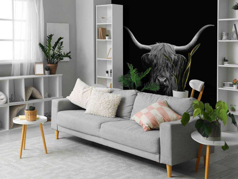 Czarno-biała szkocka rasa wyżynna