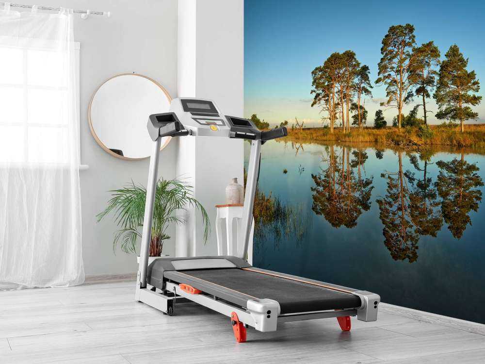 Odbicie w jeziorze leśnym