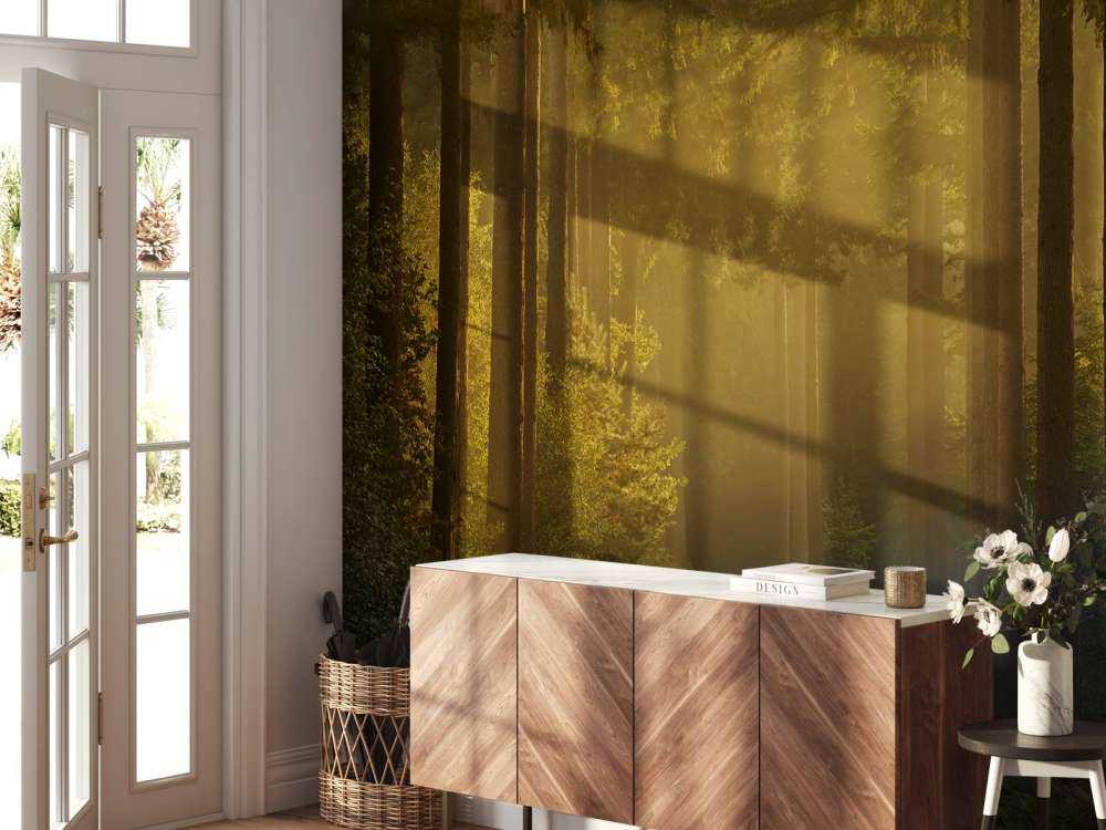 Wschód słońca w drodze przez las