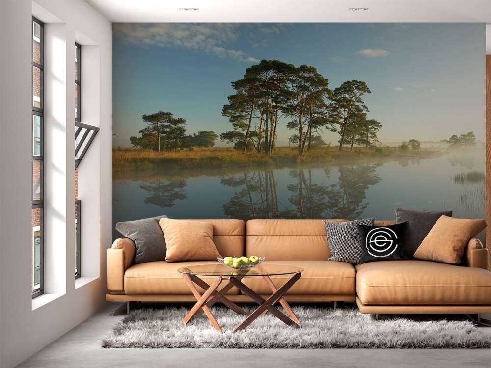 Refleksja na wrzosowiskach