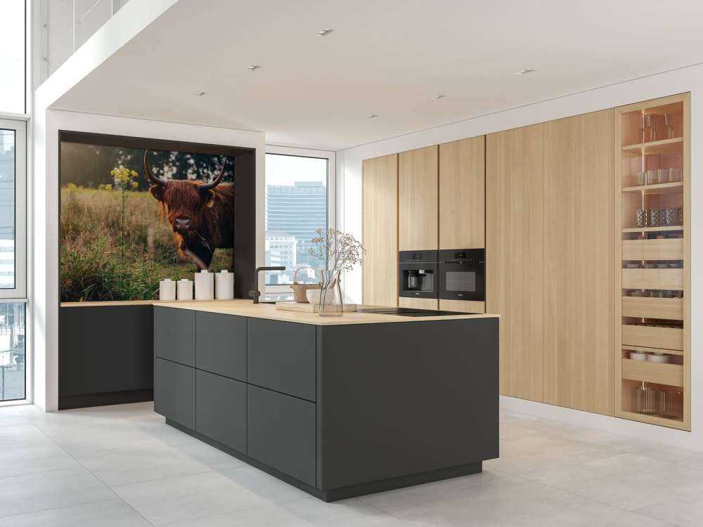 Szkocki wyżyn w wysokiej trawie