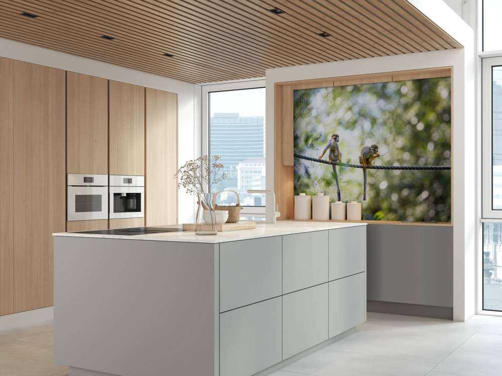 Małpy wiewiórki na linie