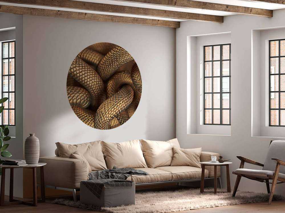 Węże w kolorze brązu