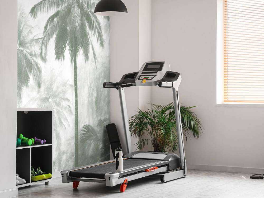 Mglisty Las Palmowy, zielony