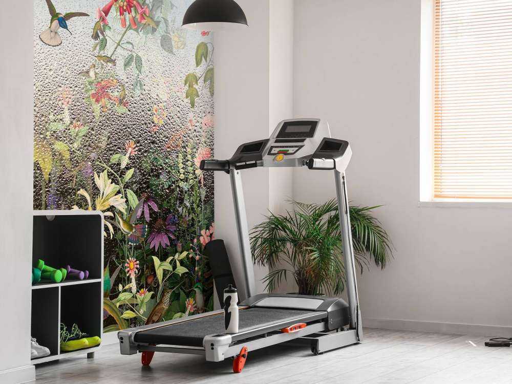 Deszczowy Raj Ptaków