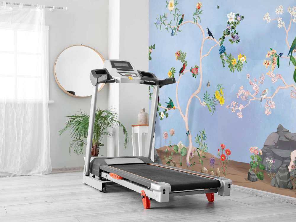 Ptaki w Ogrodzie Niebieskiego Panoramy