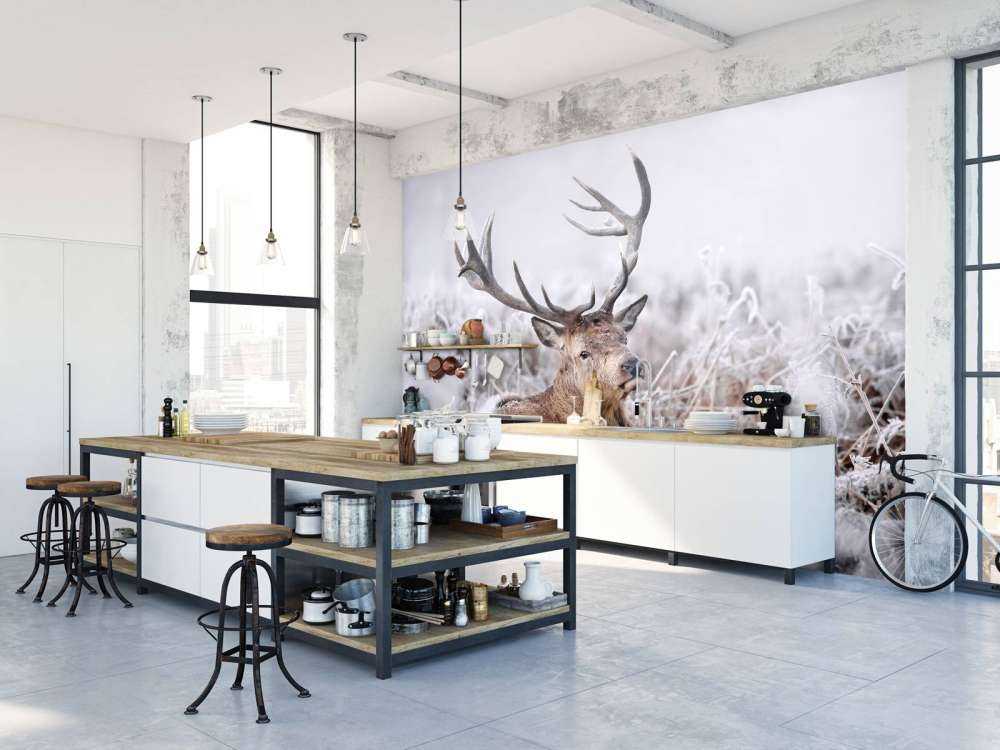 Zimowy sen jelenia szlachetnego