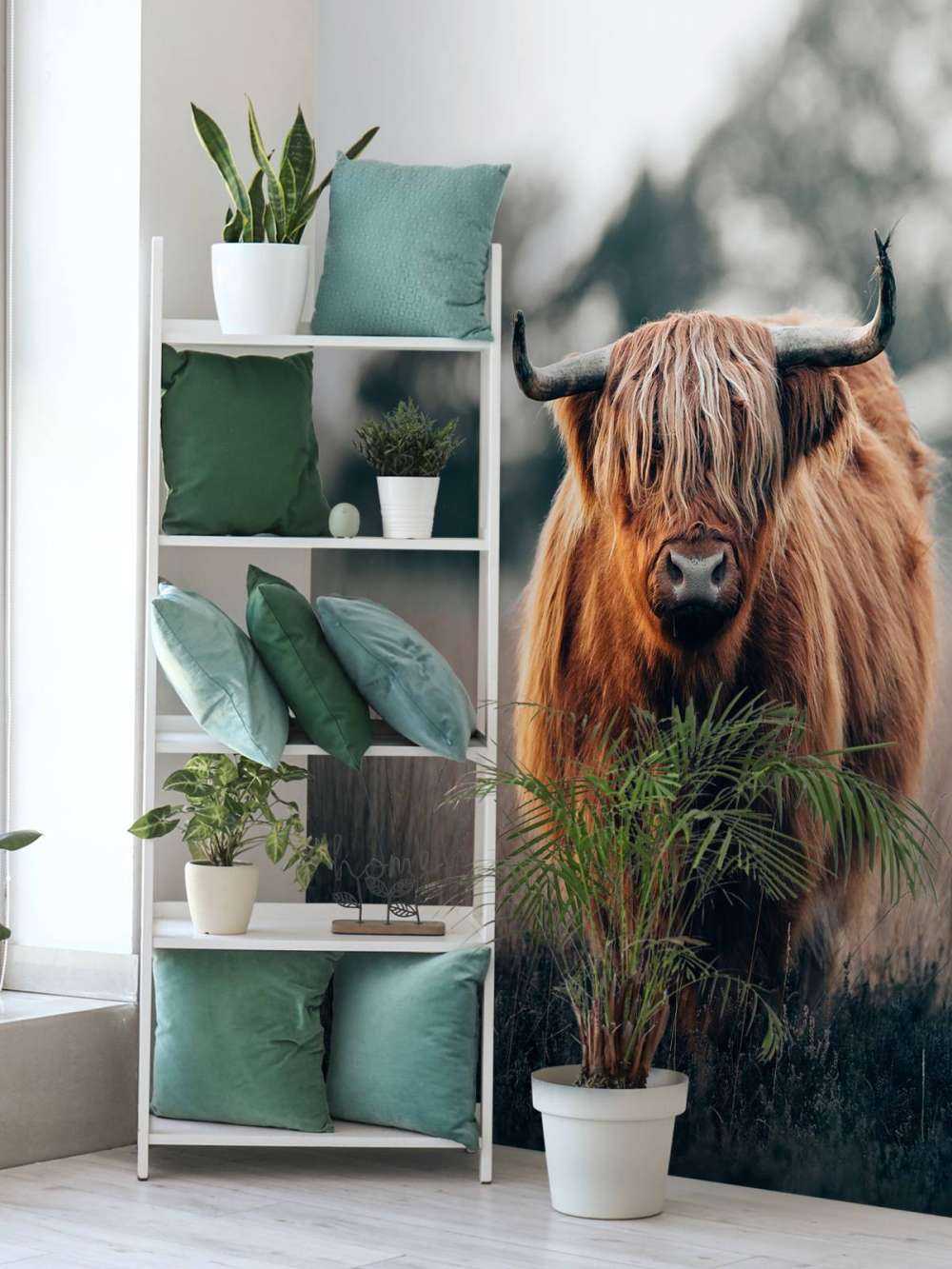 Portret mieszkańców Highlands