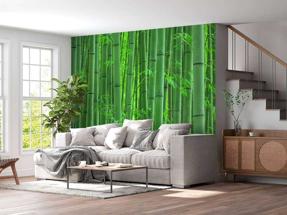 Zbliżenie na las bambusowy