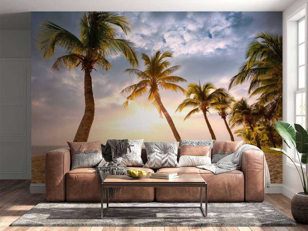 Palmy kokosowe na tle zachodzącego słońca