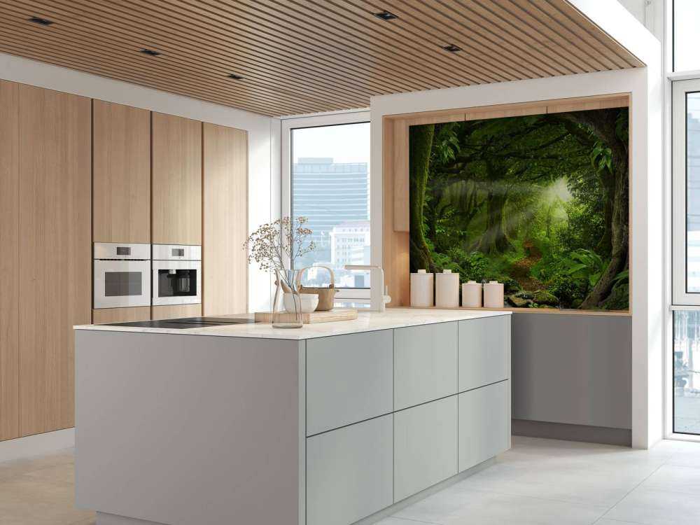 Tropikalna dżungla w świetle słońca