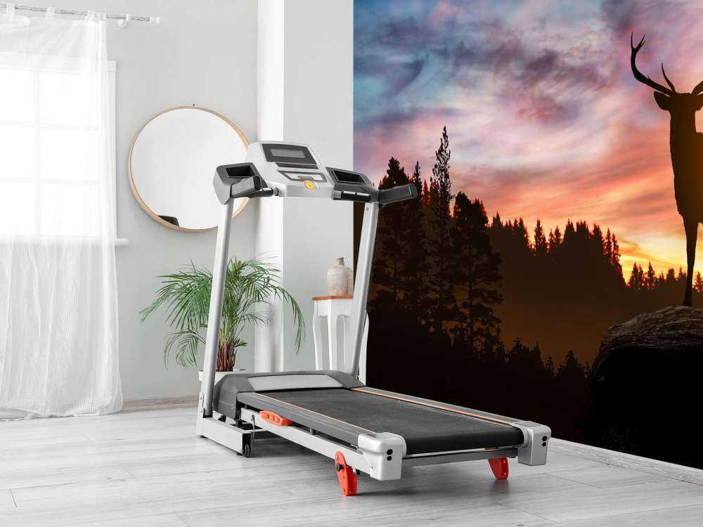 Jeleń z zachodem słońca