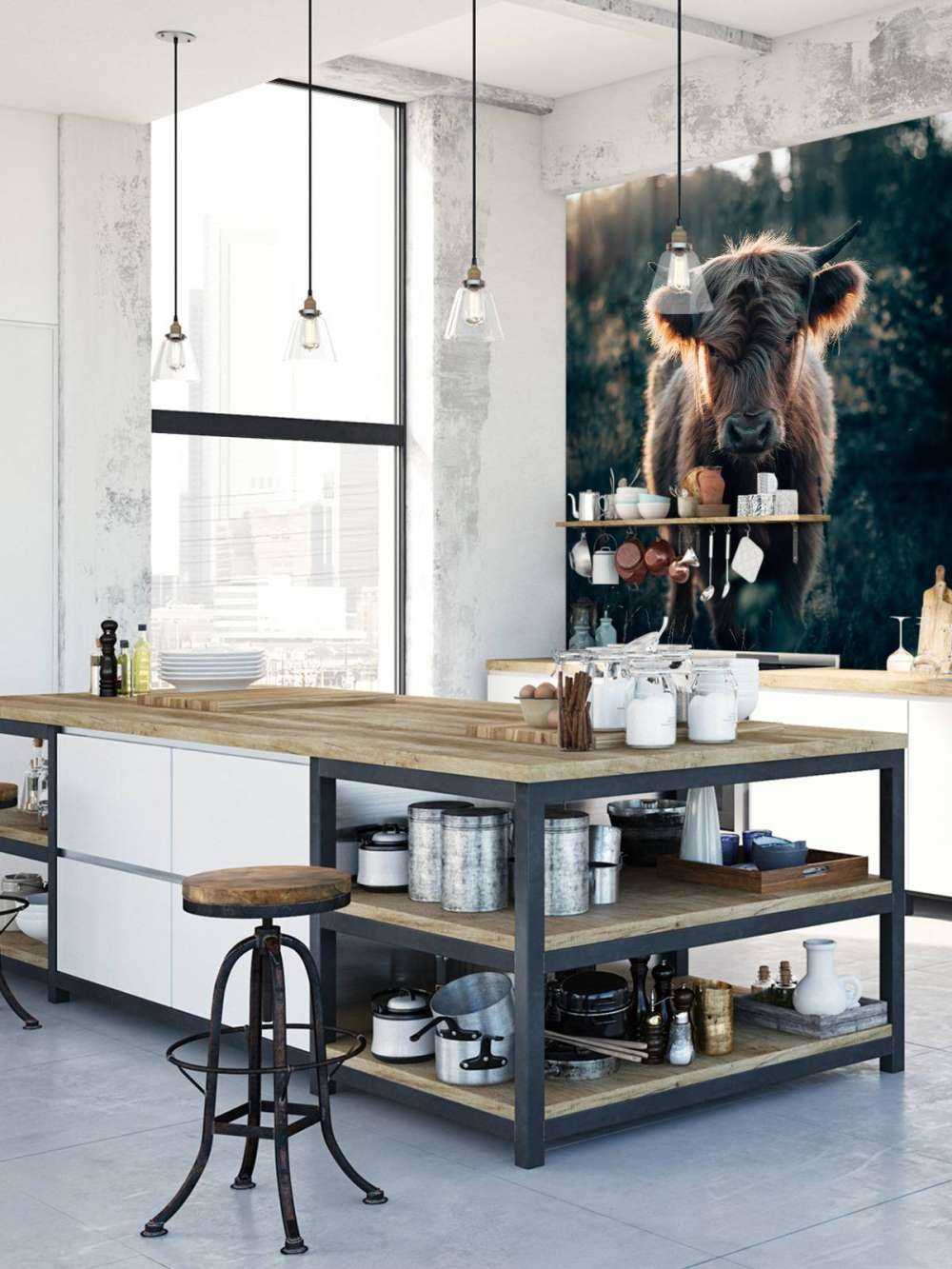 Młody szkocki wyżyn 