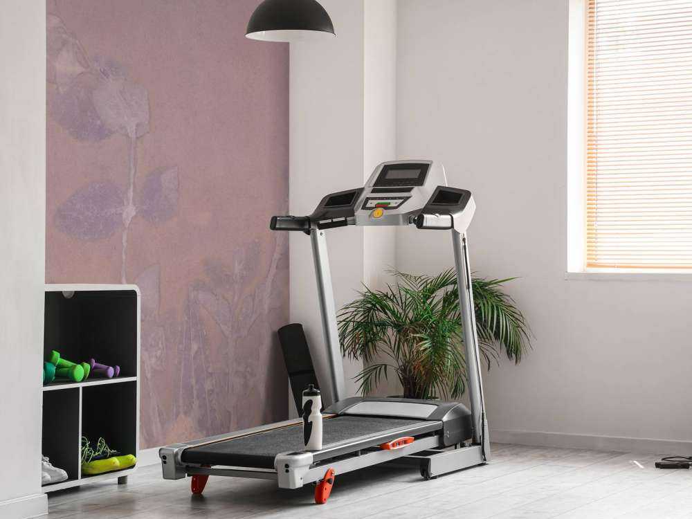 Wilde geranium i śnieżna jagoda - mauve