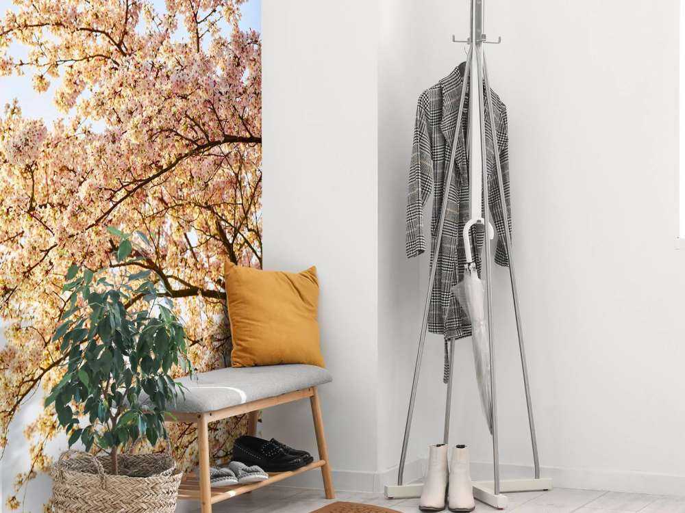 Gałąź kwitnąca w rozkwicie