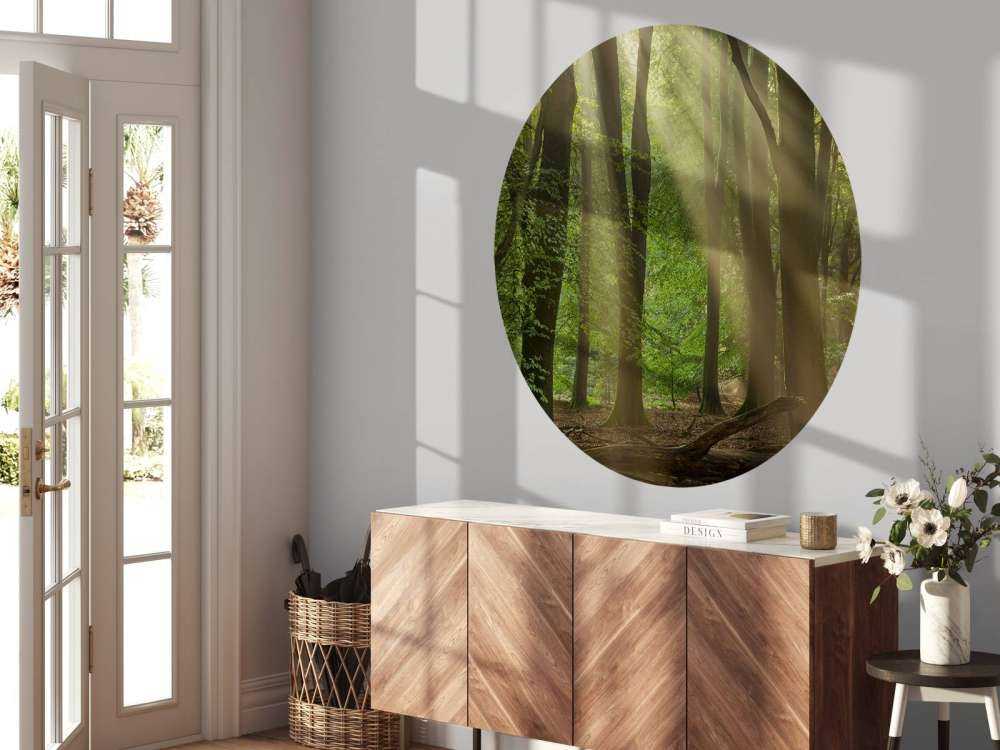 Harfy słoneczne w lesie