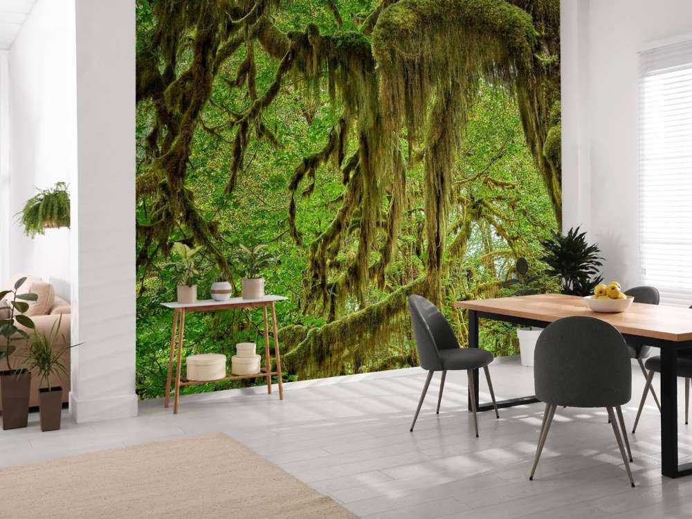 Mchy na gałęziach drzew