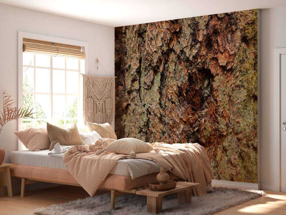 Kora drzewna stare drzewo