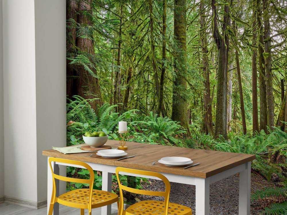 Ścieżka z kamieniem przez las