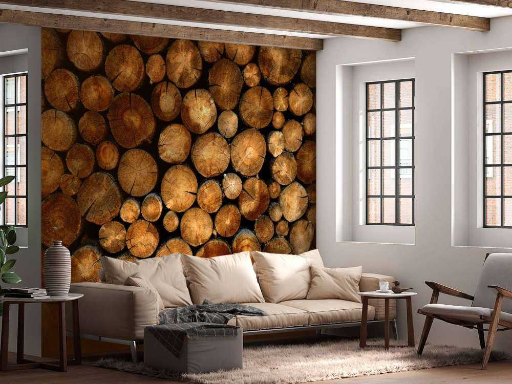 Ułożone w stosy ścięte drzewa