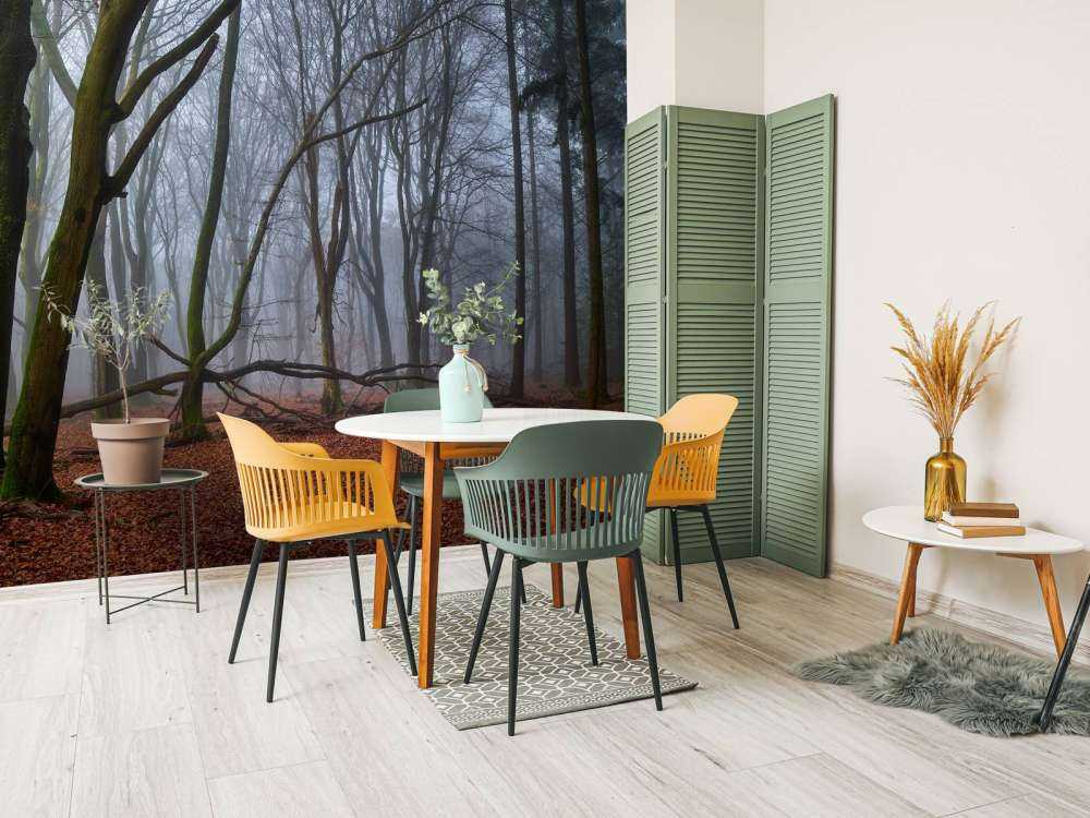 Tajemniczy, zamglony las