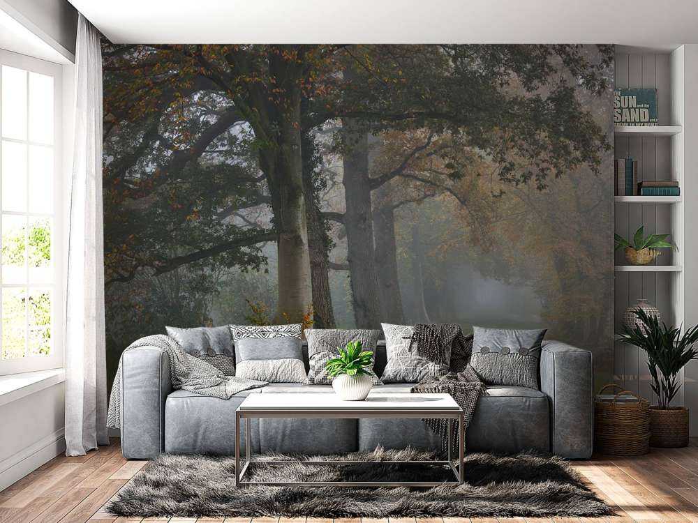 Aleja z drzewami we mgle