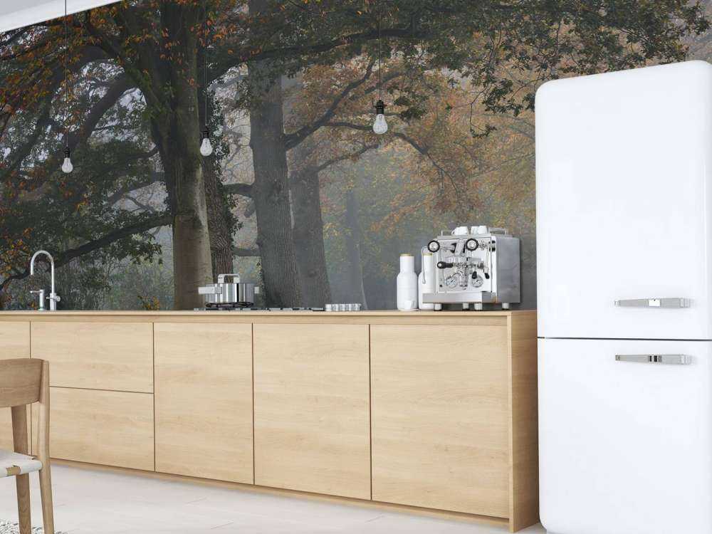 Aleja z drzewami we mgle