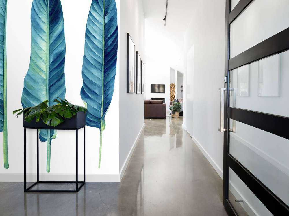 Tropikalne liście na białym tle