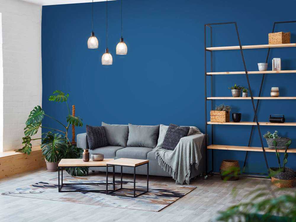 Niebieski amerykański