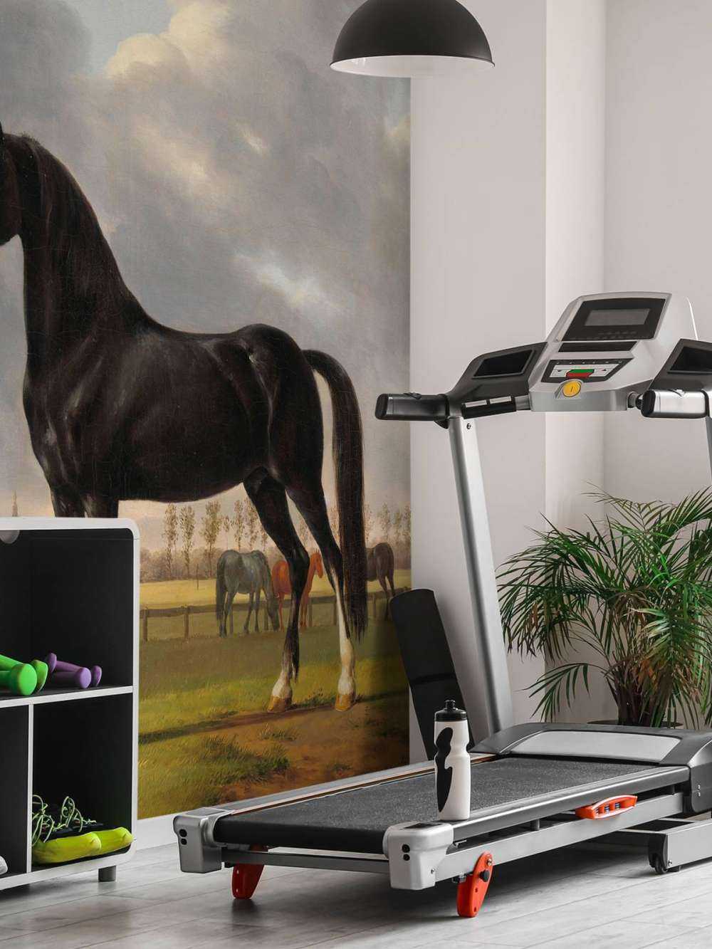 Fototapetowy koń. Szuflada hardwaru De Vlugge