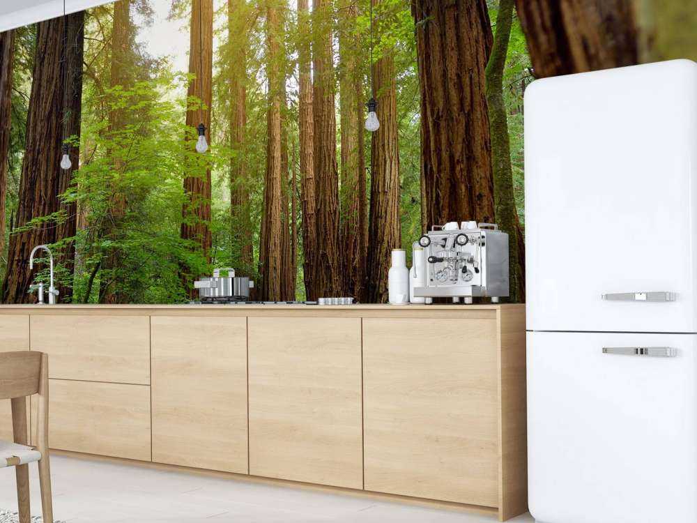 Wysokie drzewa w parku