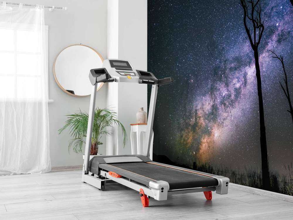 Gwiazdy między drzewami