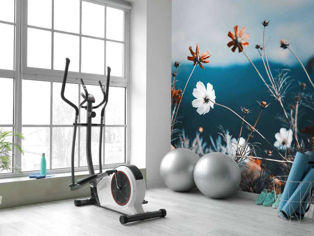 Kwiaty kosmosu w polu