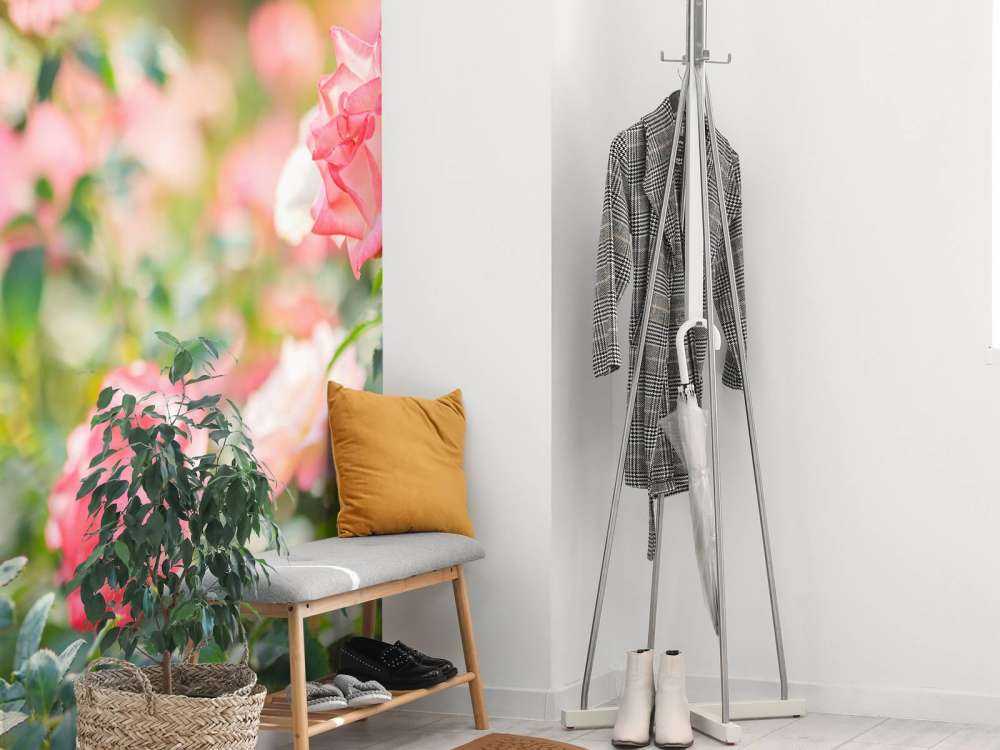 Jasnoróżowy krzew róży