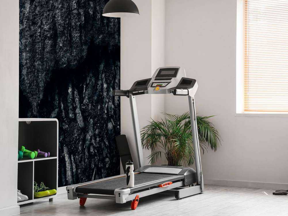 Drzewo, czarno-białe